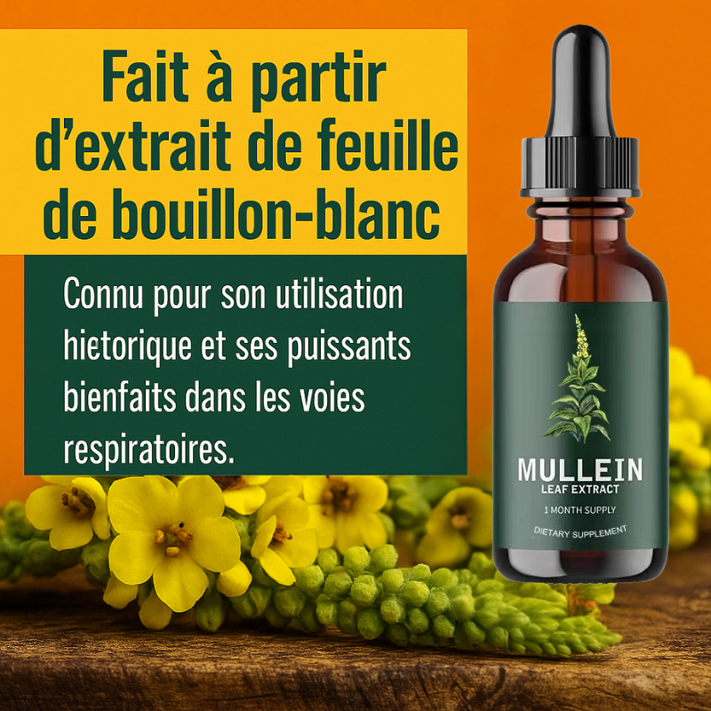 Mullein - Extrait naturel de feuille de molène